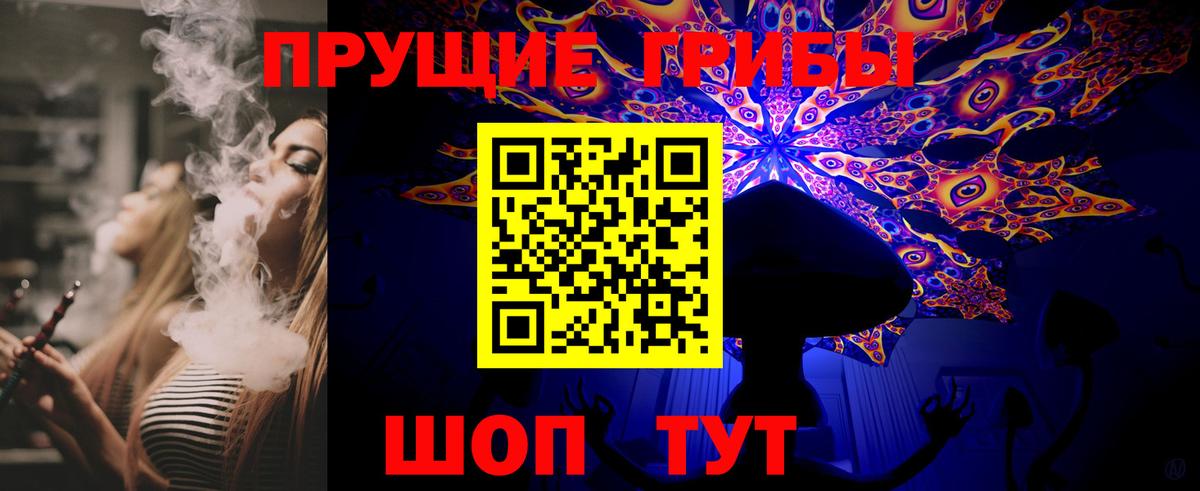 Псилоцибиновые грибы GOLDEN TEACHER Дзержинск