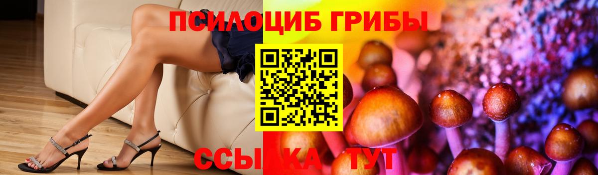 Дзержинск  Псилоцибиновые грибы Magic Shrooms  Псилоцибиновые грибы Magic Shrooms  Вход с VPN 